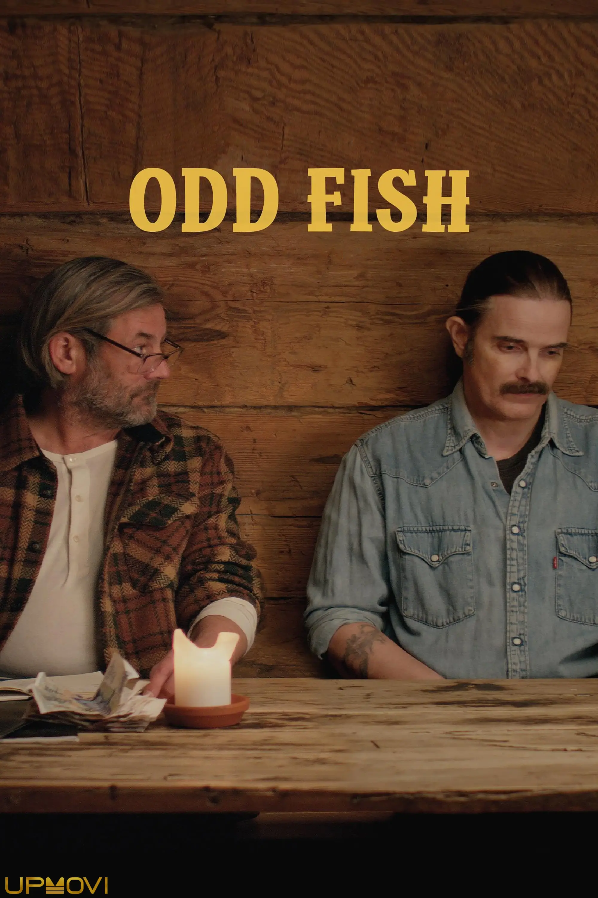 Odd Fish