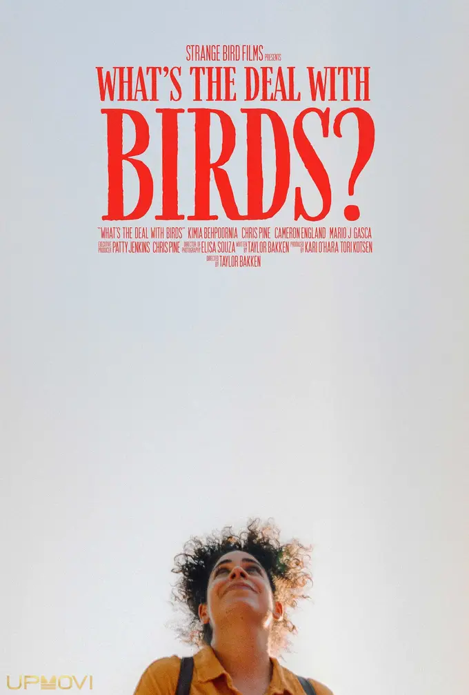 What's The Deal With Birds?