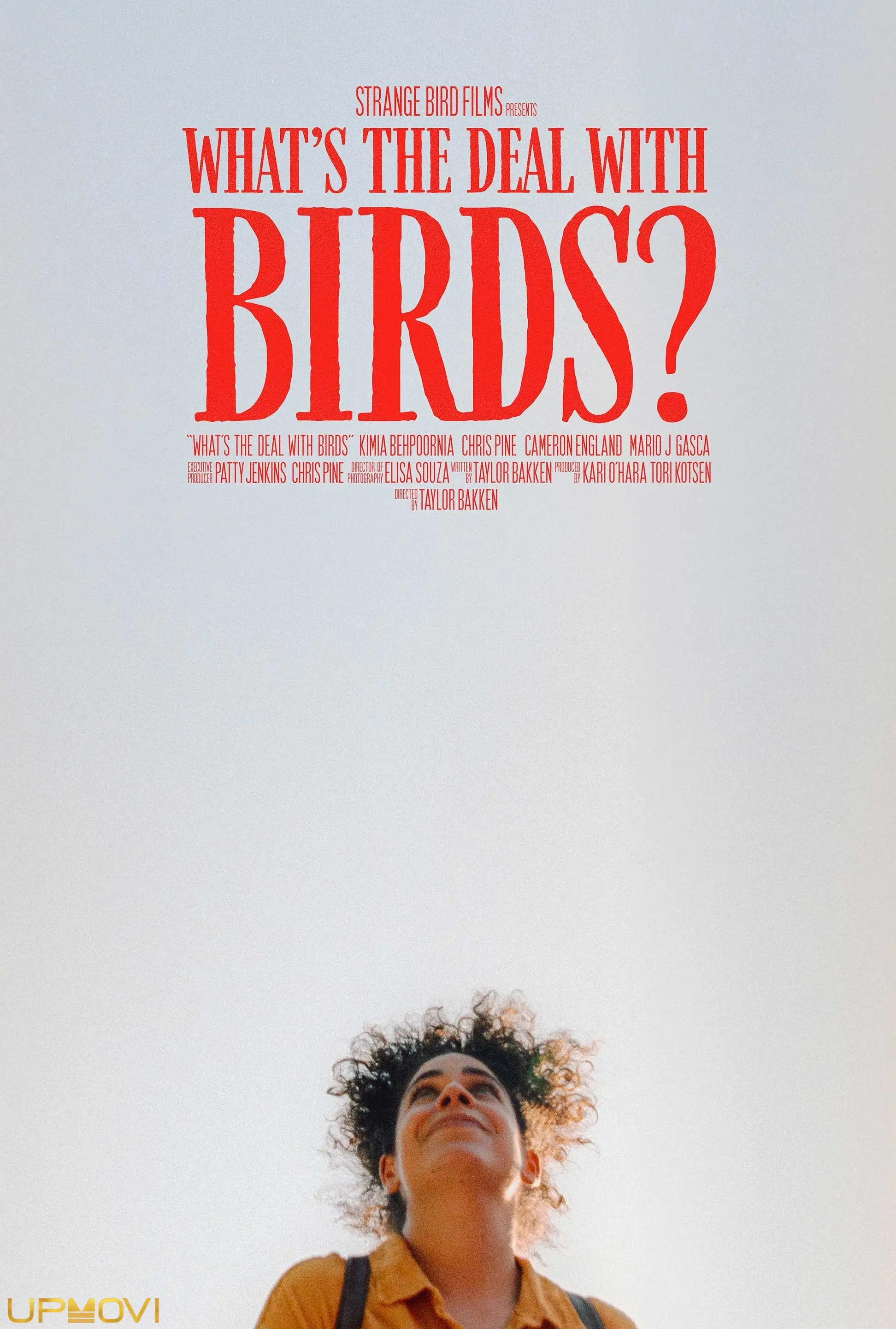 What's The Deal With Birds?