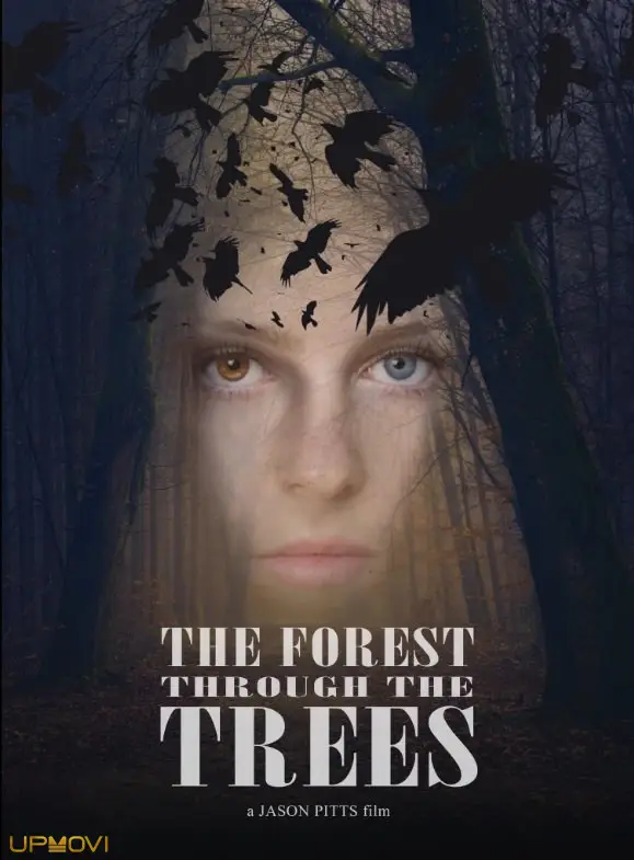 The Forest Through the Trees