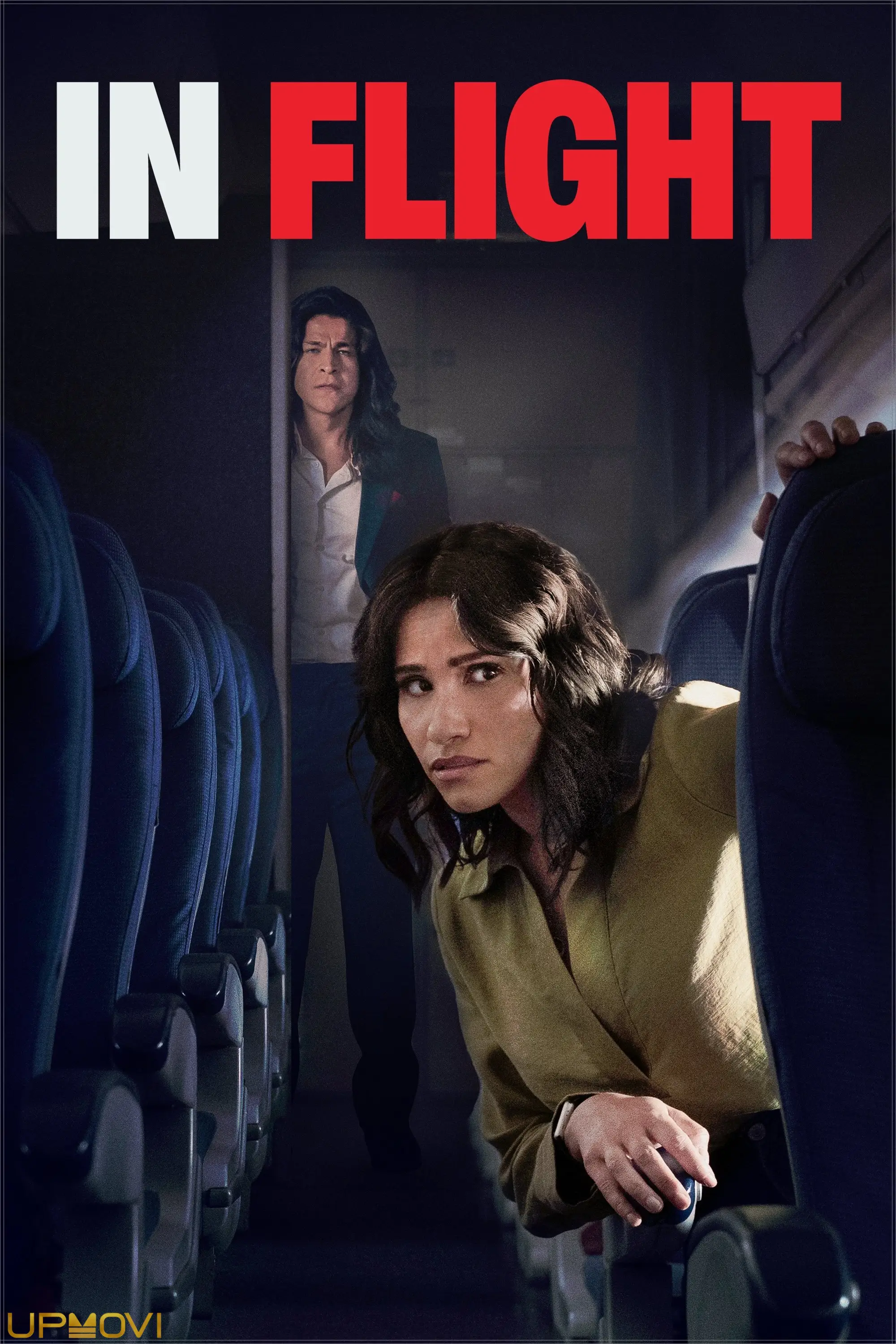 In Flight