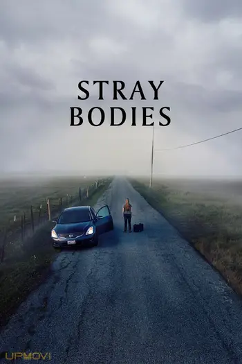 Stray Bodies