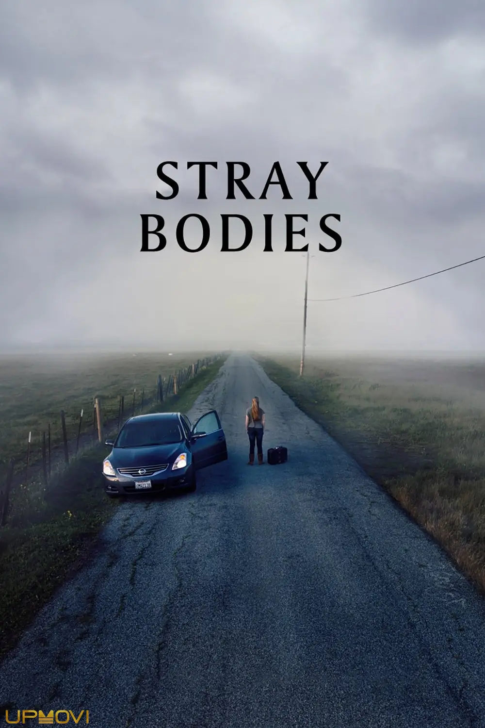 Stray Bodies