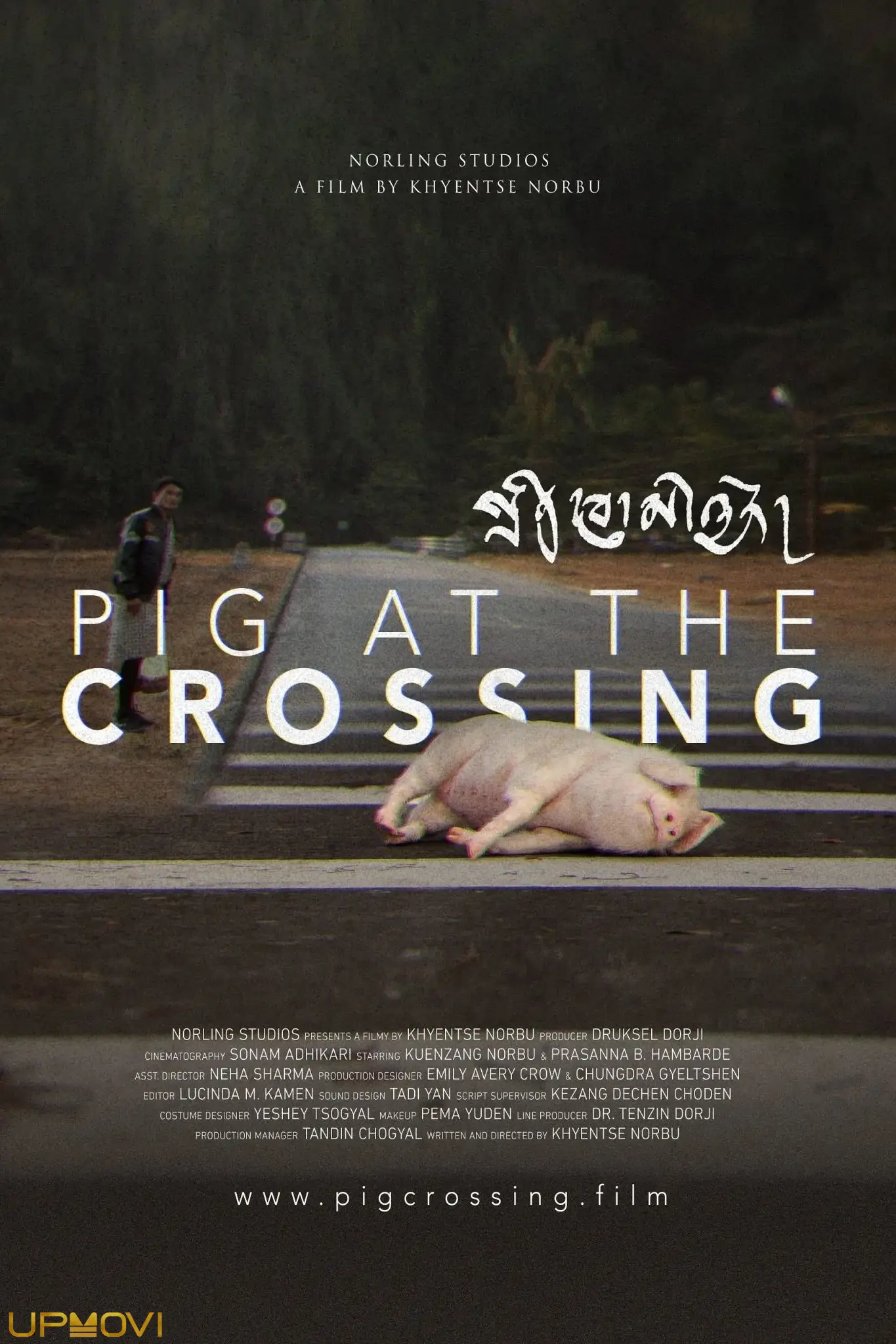 Pig at the Crossing