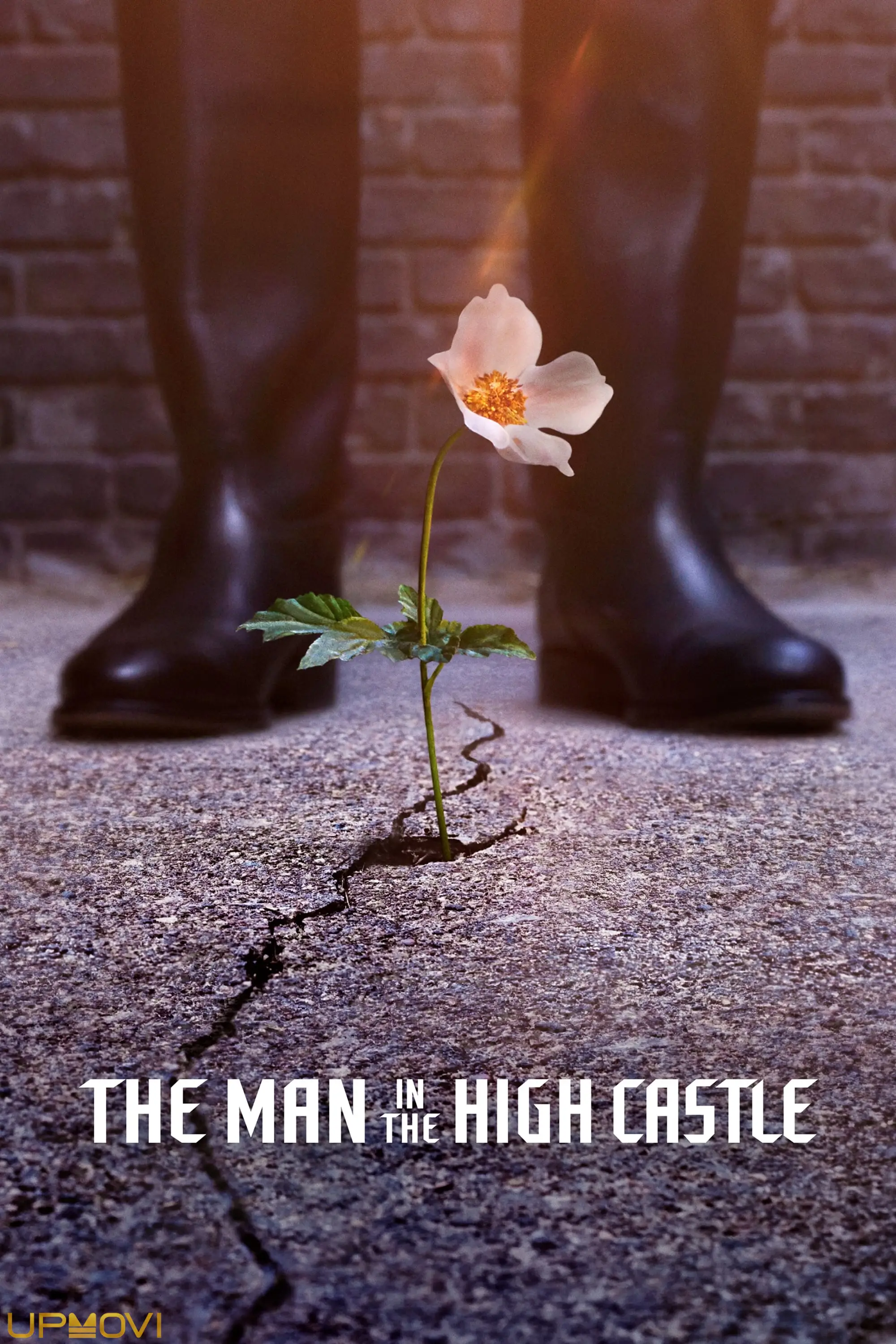 The Man in the High Castle