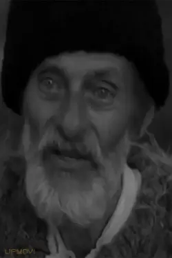 Nicolae Veniaș