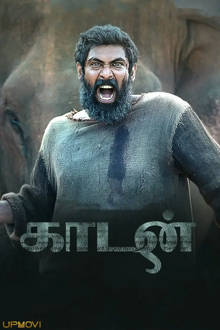 Kaadan