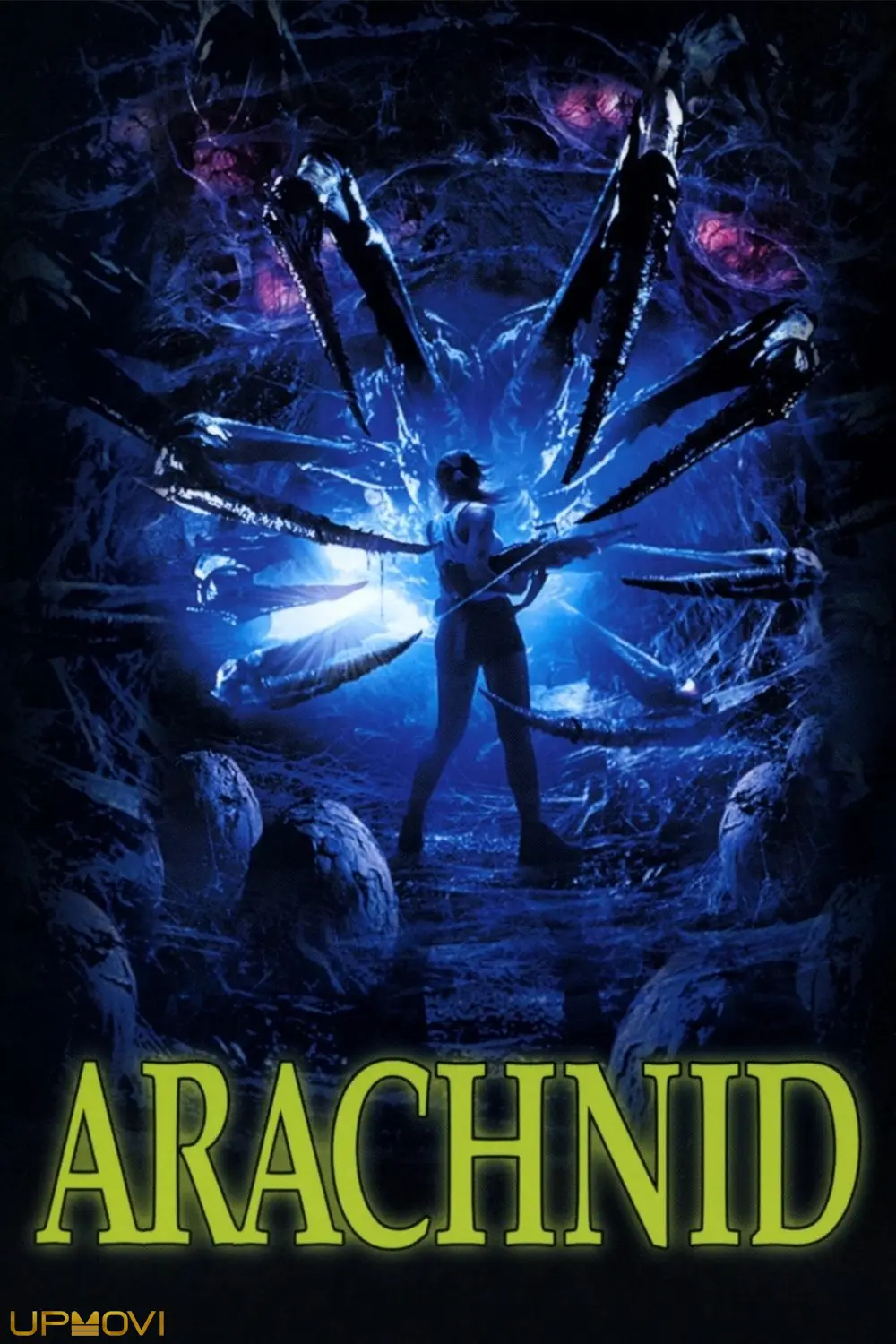 Arachnid