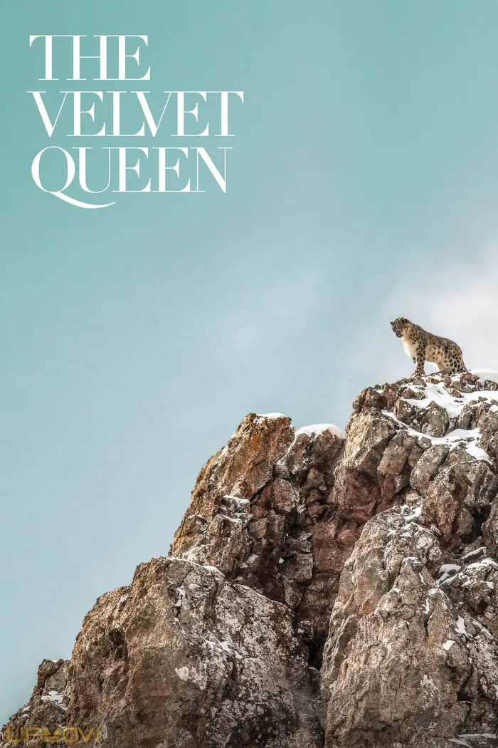 The Velvet Queen