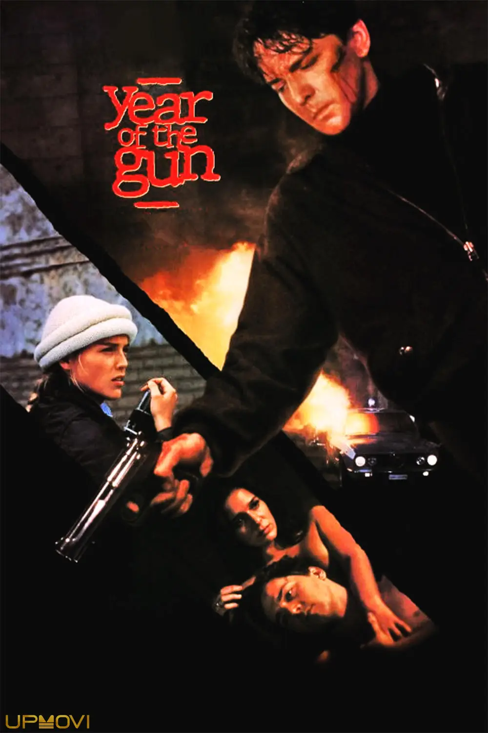 Year of the Gun