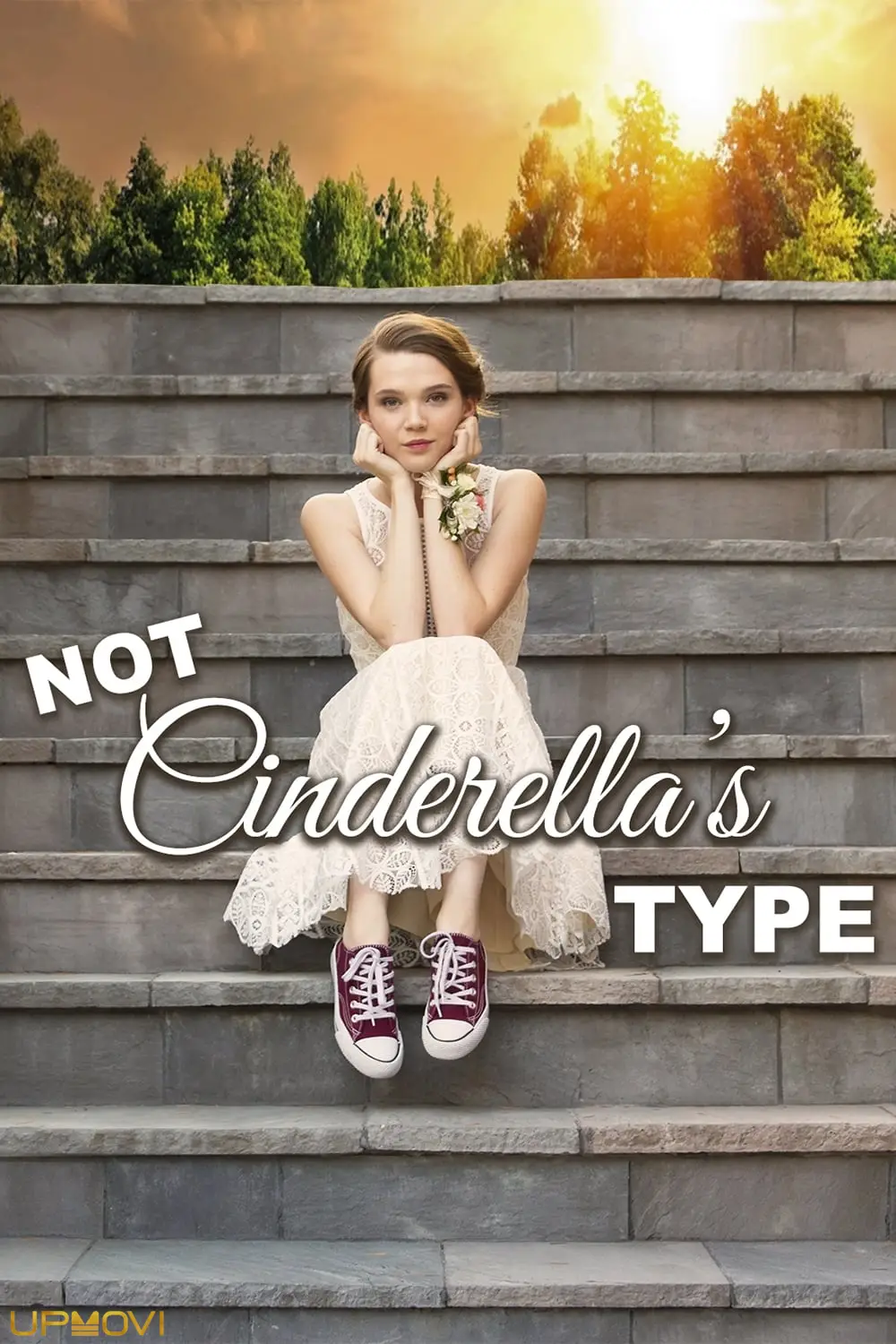 Not Cinderella's Type
