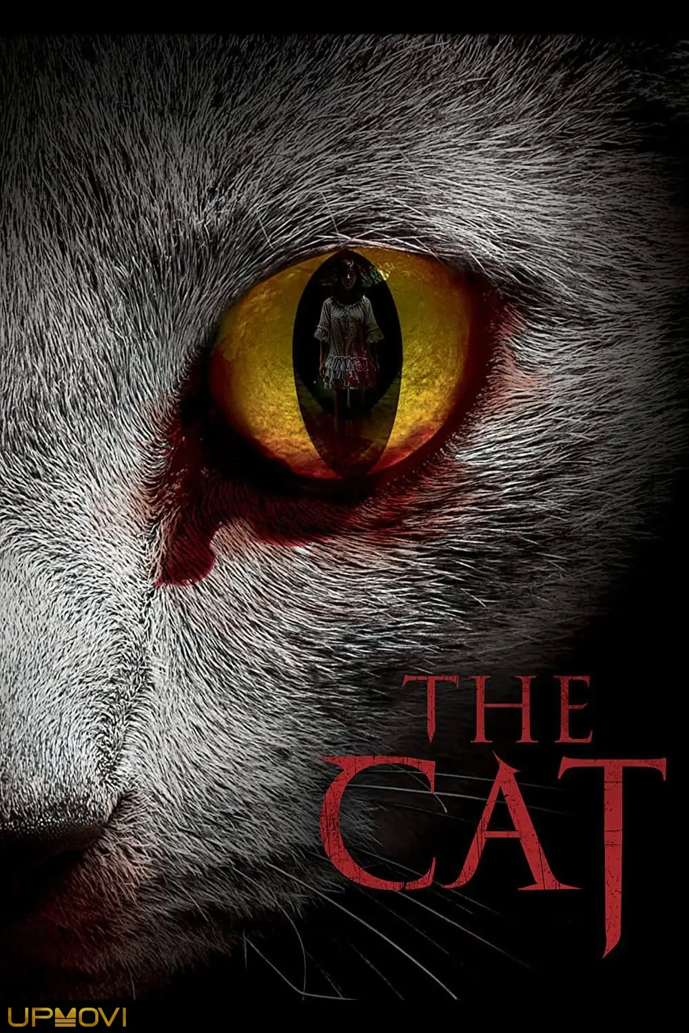 The Cat
