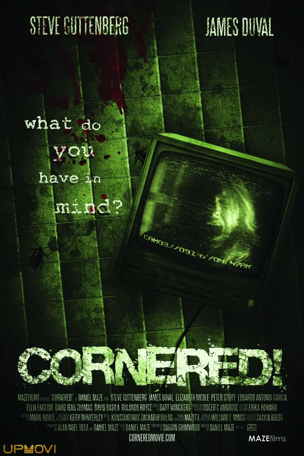 Cornered!