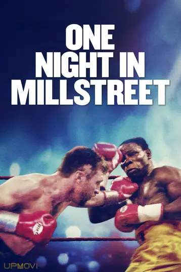 One Night in Millstreet