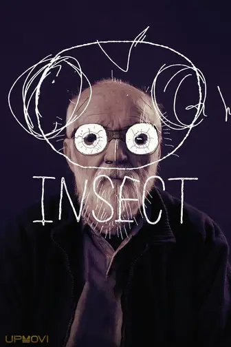 Insect