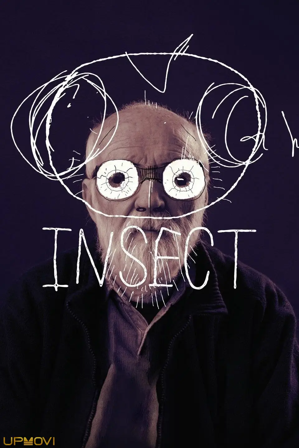 Insect