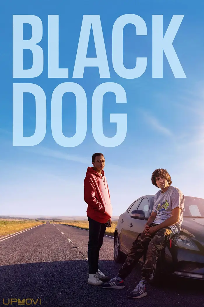 Black Dog