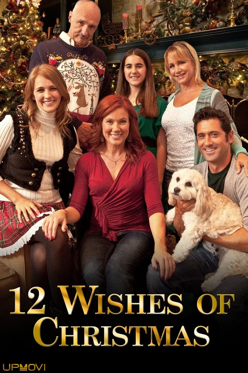 12 Wishes of Christmas