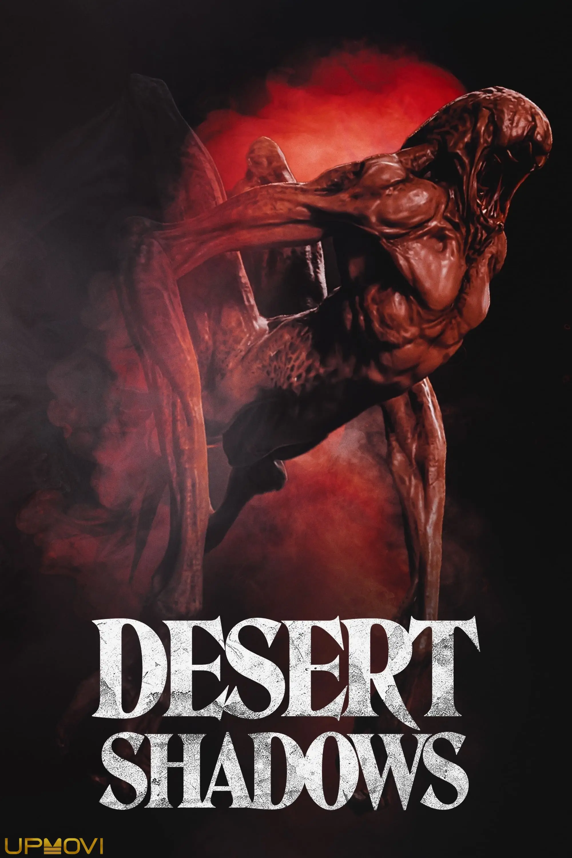 Desert Shadows