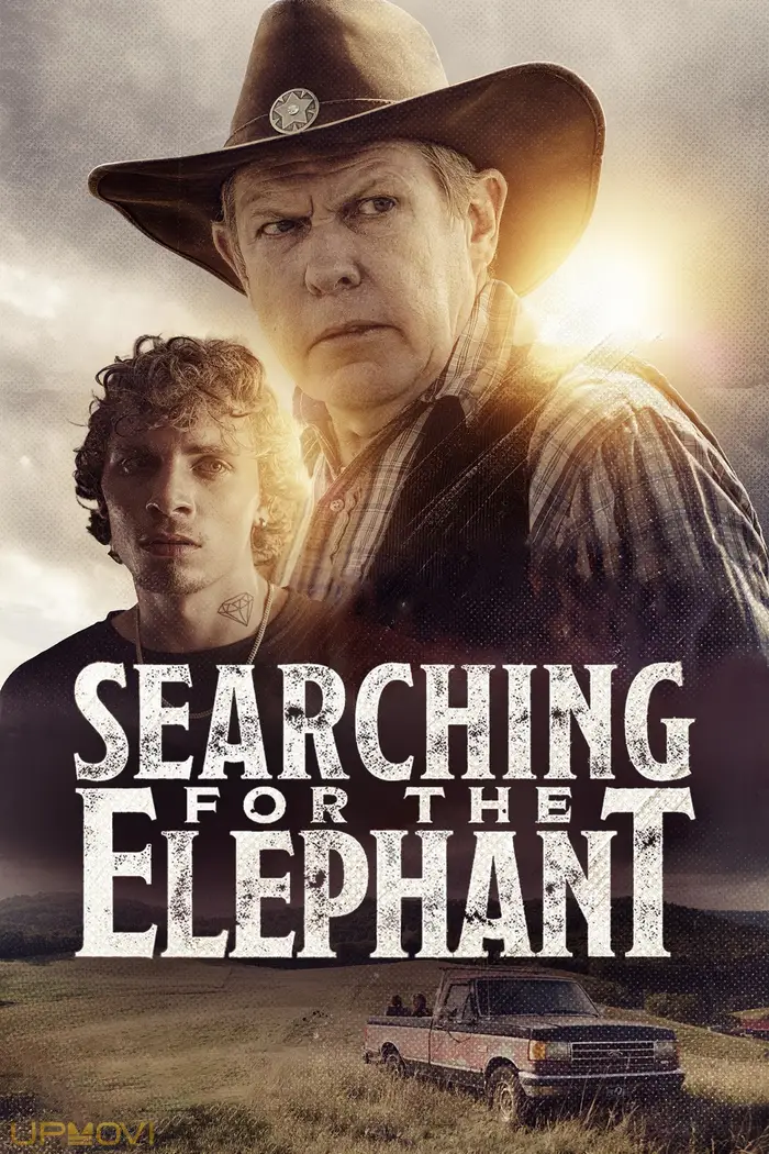 Searching for the Elephant