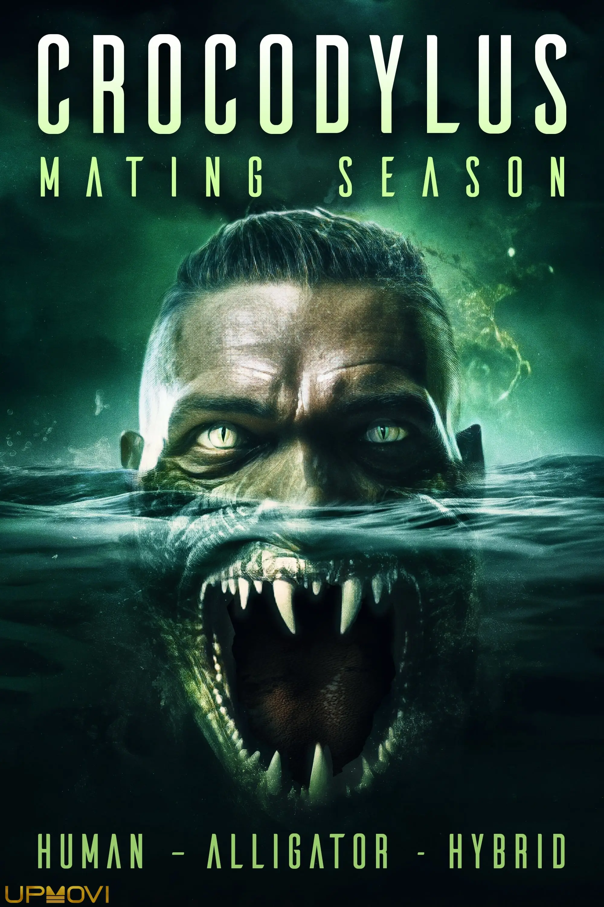 Crocodylus: Mating Season
