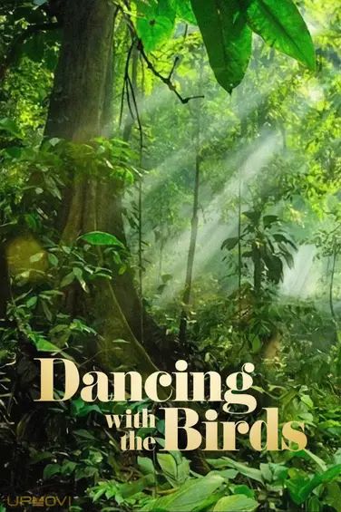 Dancing with the Birds