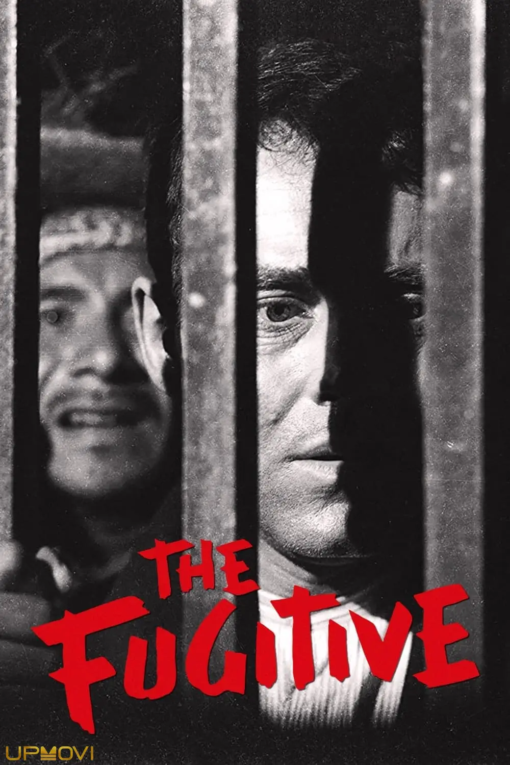 The Fugitive