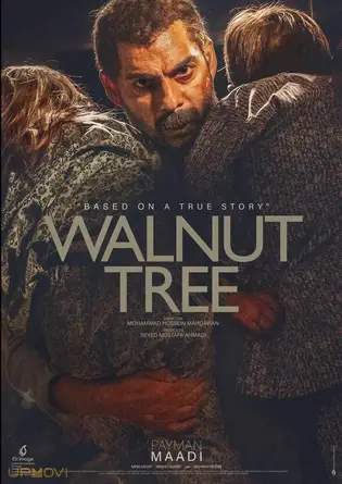 Walnut Tree