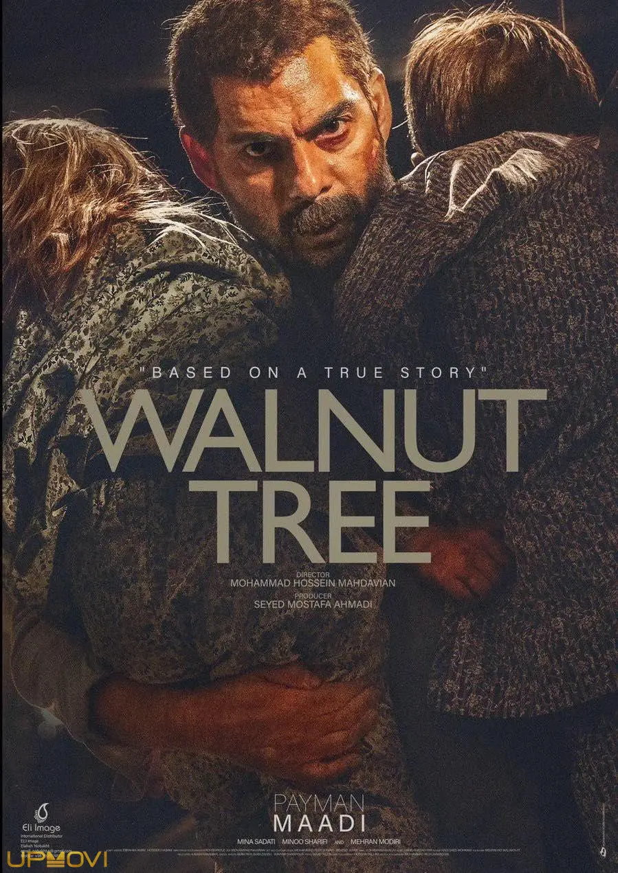 Walnut Tree