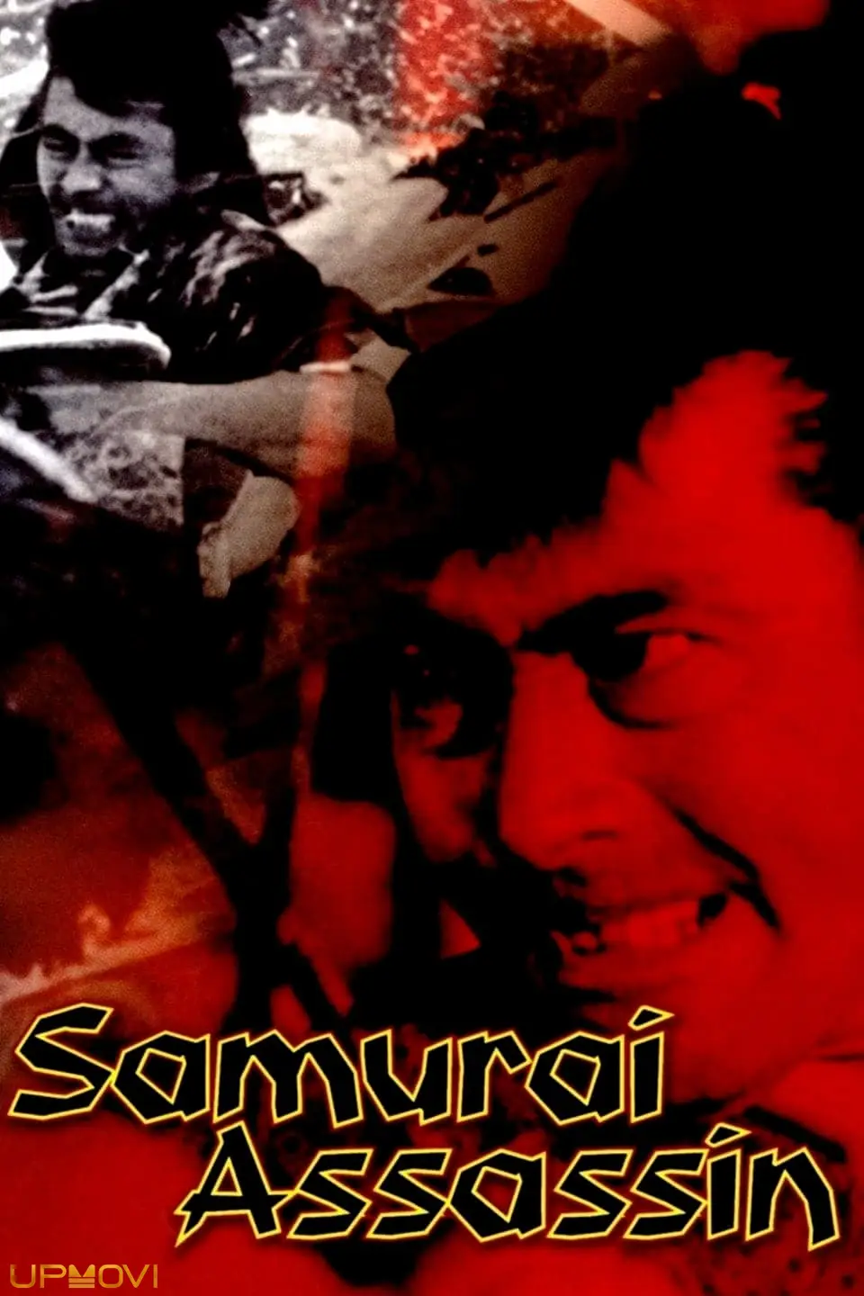 Samurai Assassin