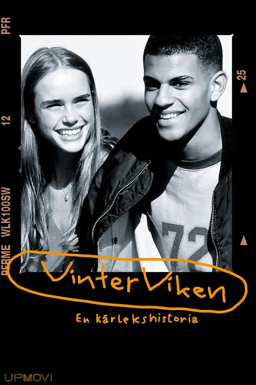 Vinterviken