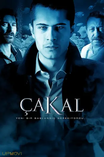 Çakal