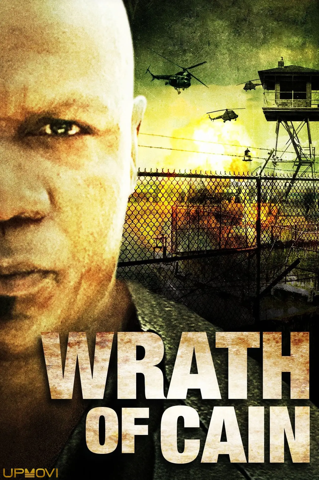 The Wrath of Cain