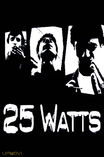 25 Watts