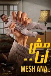Mesh Ana