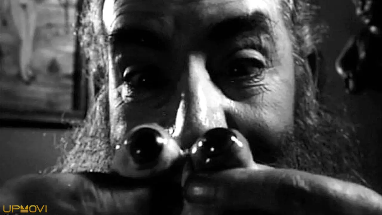 The Strange World of Coffin Joe