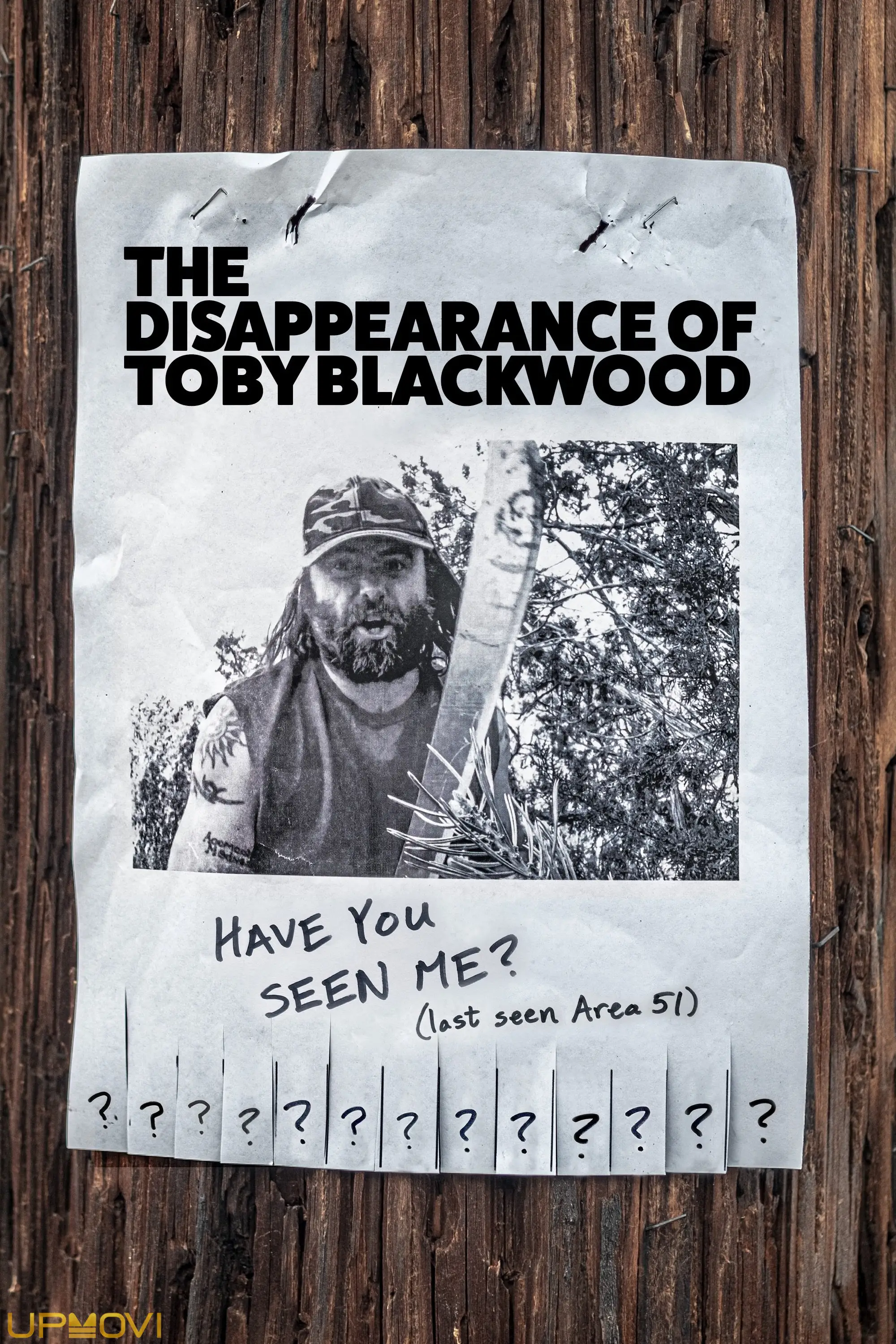 The Disappearance of Toby Blackwood