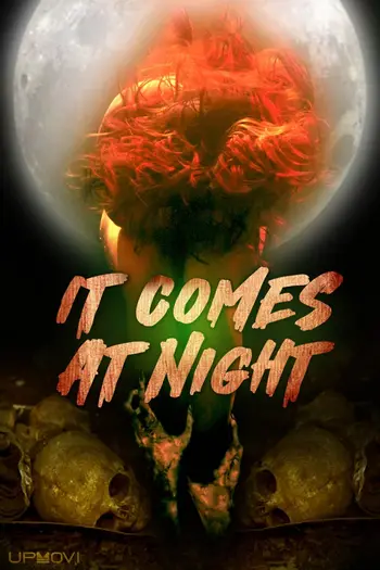 In the Light of the Night