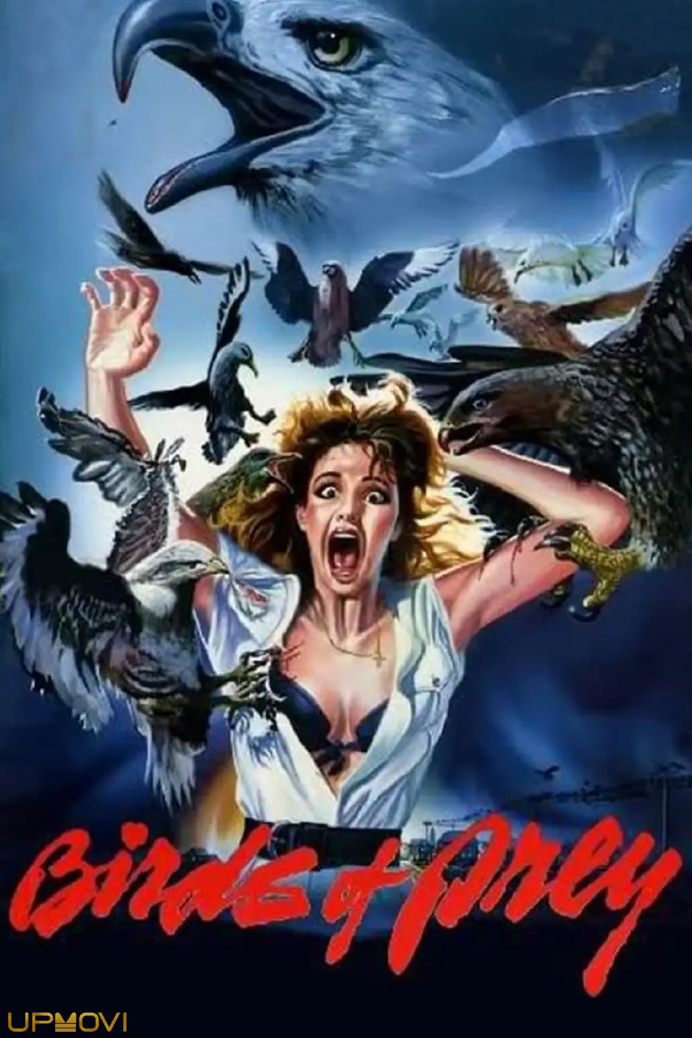 Birds of Prey