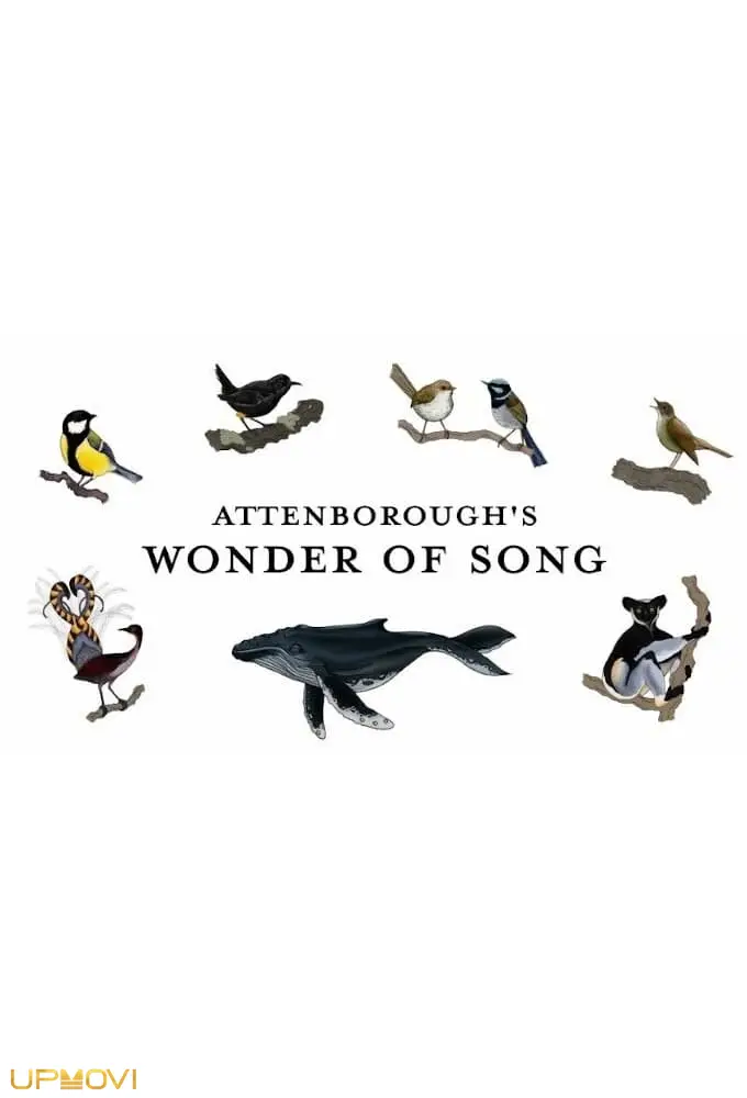 Attenborough's Wonder of Song
