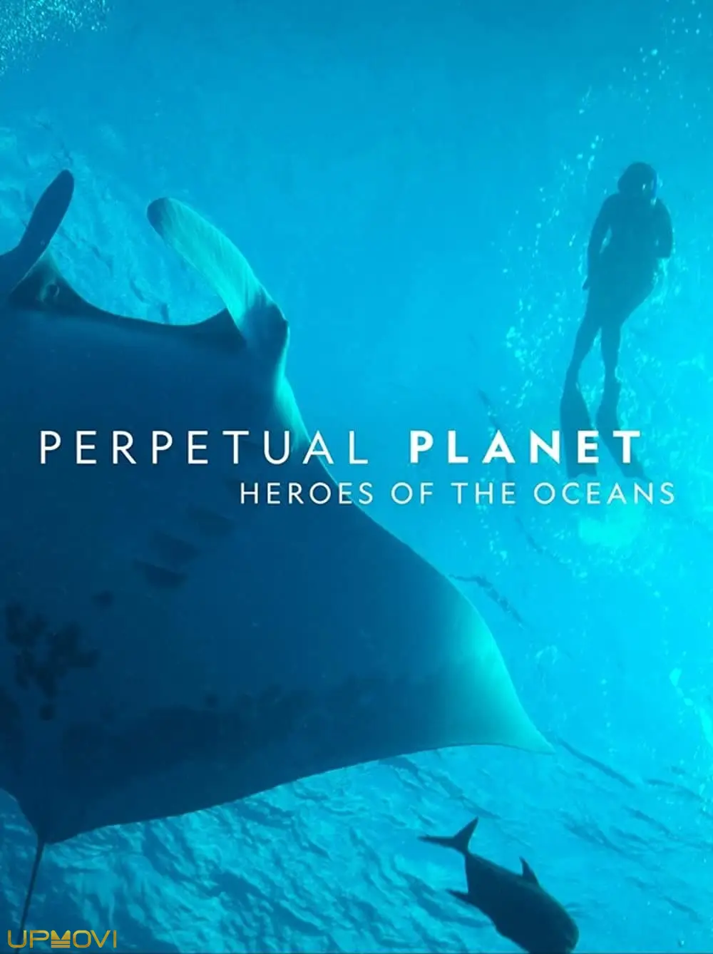 Perpetual Planet: Heroes of the Oceans