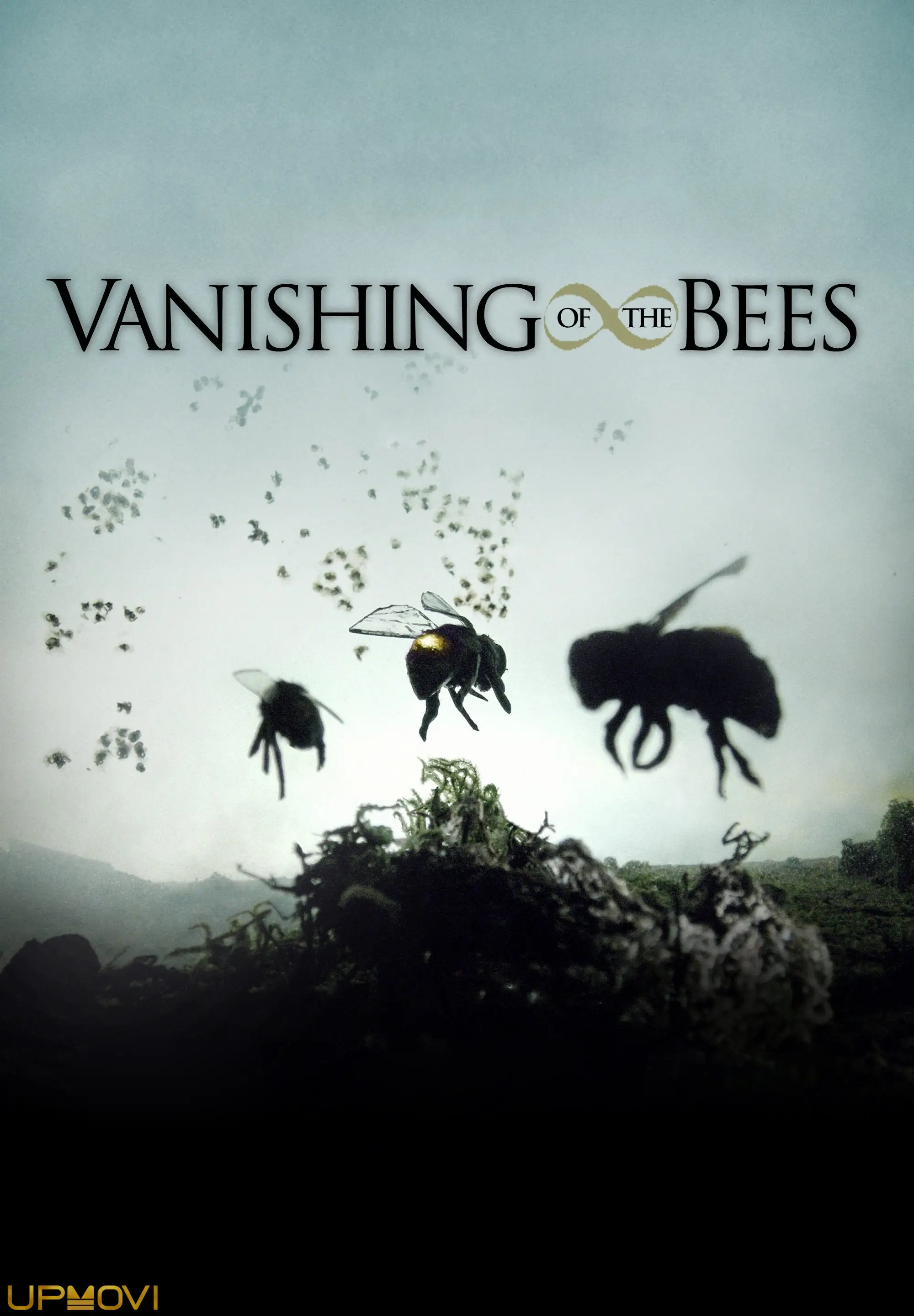 Vanishing of the Bees
