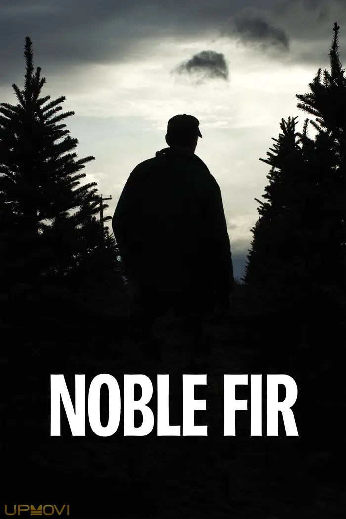 Noble Fir