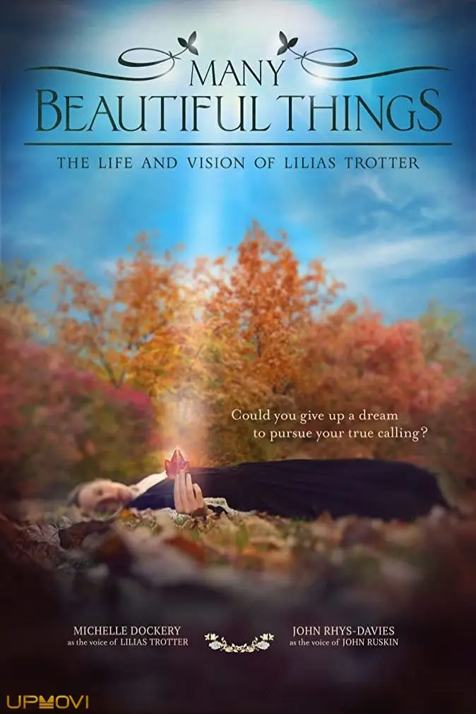 Many Beautiful Things