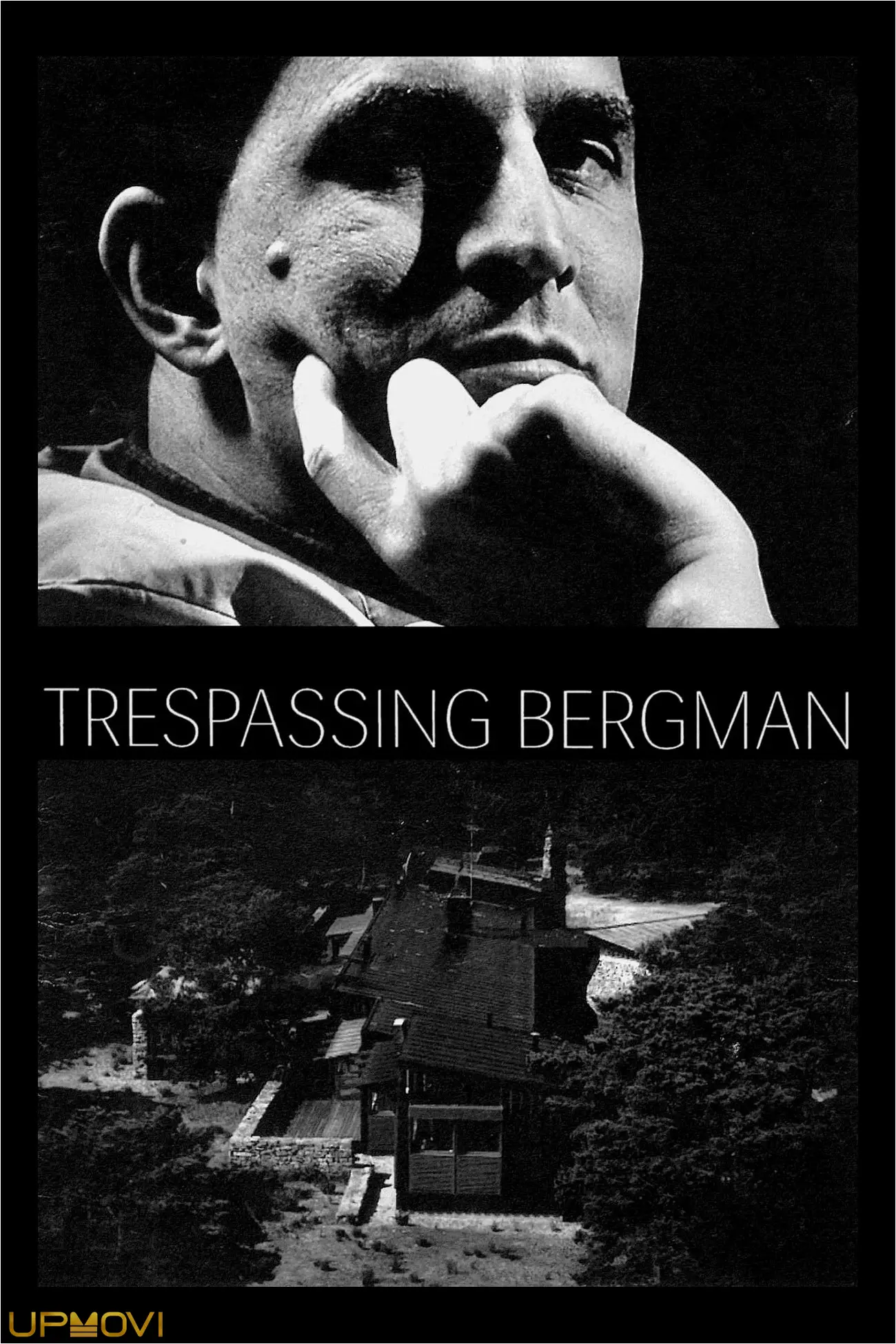 Trespassing Bergman