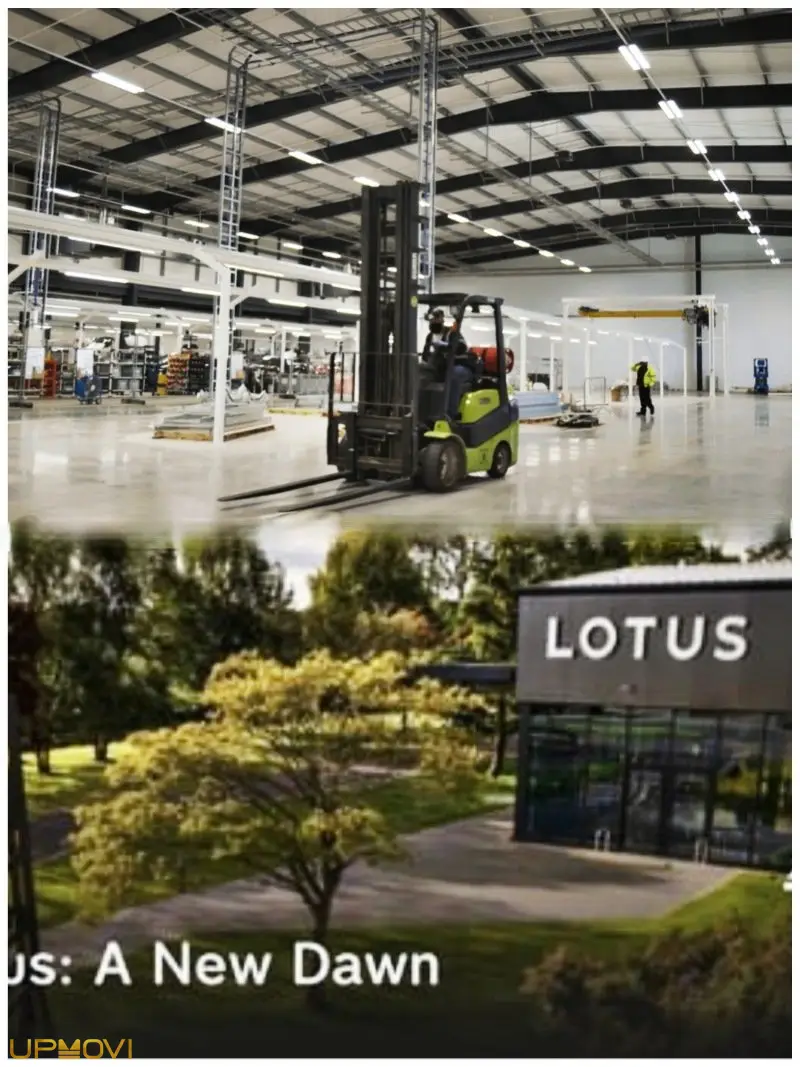 Lotus: A New Dawn