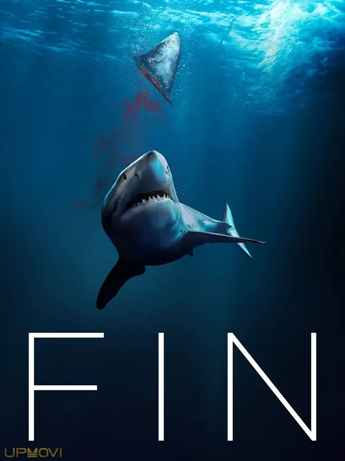 Fin