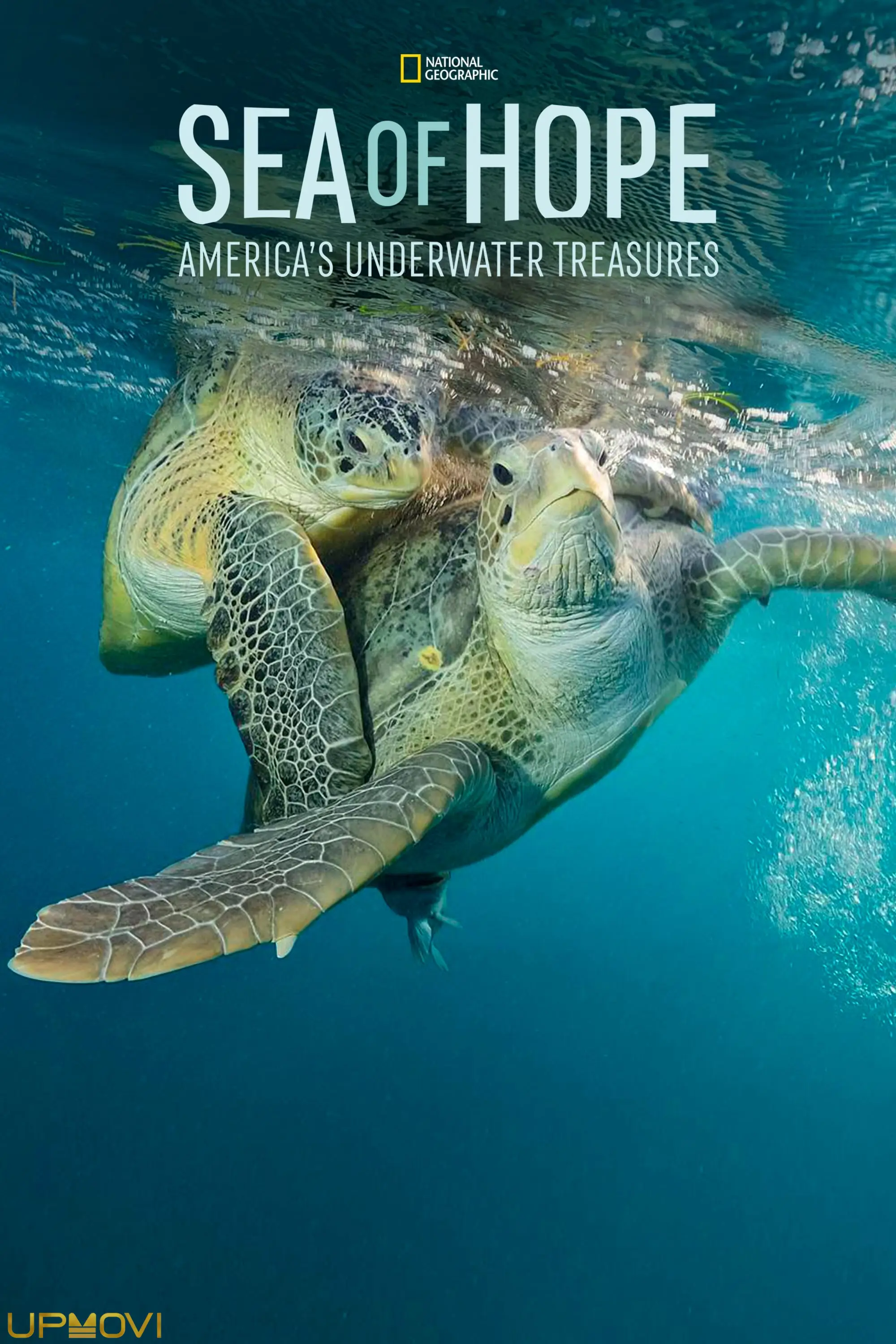 Sea of Hope: America's Underwater Treasures