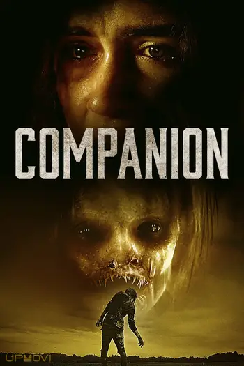 Companion