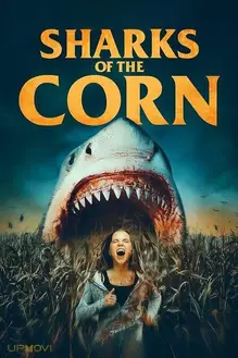 Sharks of the Corn